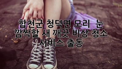✨ 합천군 청덕면 모리, ✨ 눈 깜짝할 새 깨끗! 비상 청소 서비스 출동! 🏡